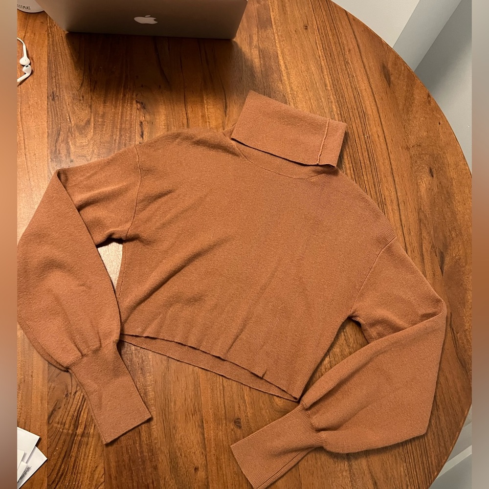 Aritzia Rebecca Crop Sweater
